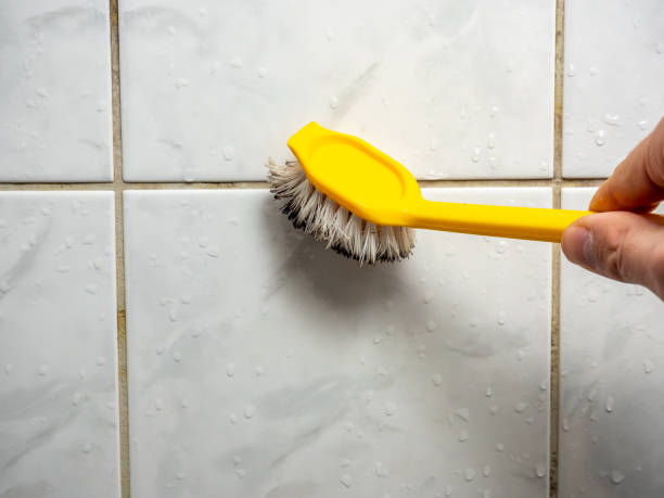 Best Fast Mold Removal  in Birch Run, MI