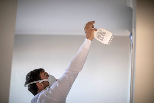 Best Fast Mold Removal  in Birch Run, MI