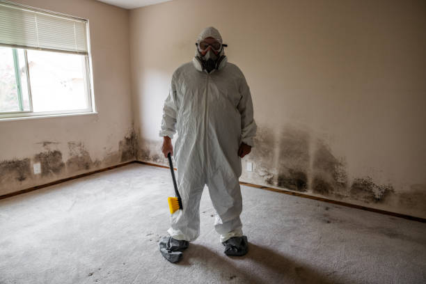 Best Mold Testing  in Birch Run, MI